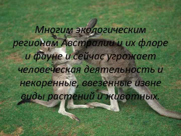 Многим экологическим регионам Австралии и их флоре и фауне и сейчас угрожает человеческая деятельность