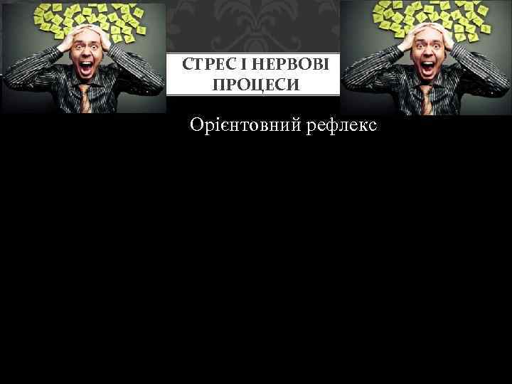 СТРЕС І НЕРВОВІ ПРОЦЕСИ Орієнтовний рефлекс 