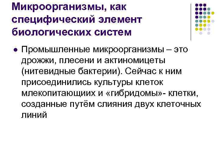 Микроорганизмы, как специфический элемент биологических систем l Промышленные микроорганизмы – это дрожжи, плесени и