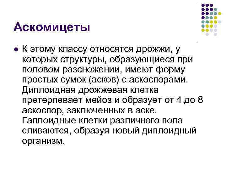 Аскомицеты l К этому классу относятся дрожжи, у которых структуры, образующиеся при половом разсножении,