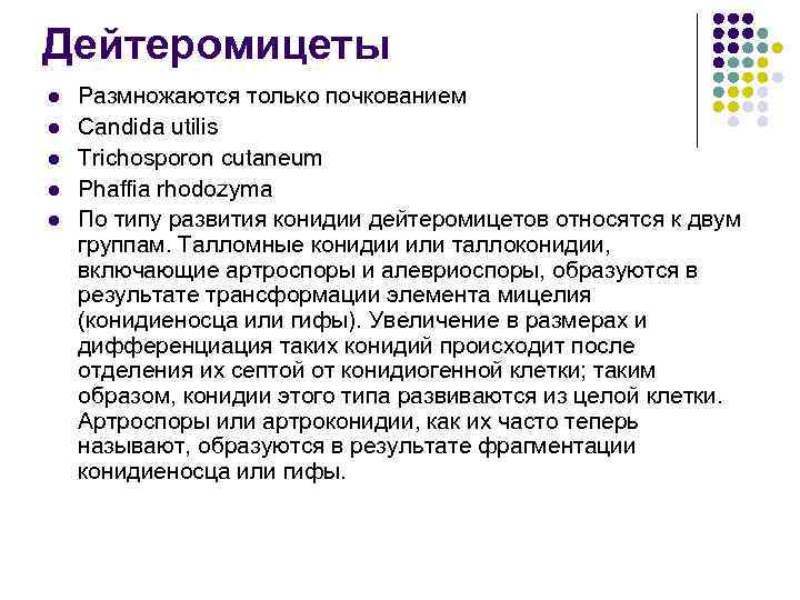 Дейтеромицеты l l l Размножаются только почкованием Candida utilis Trichosporon cutaneum Phaffia rhodozyma По