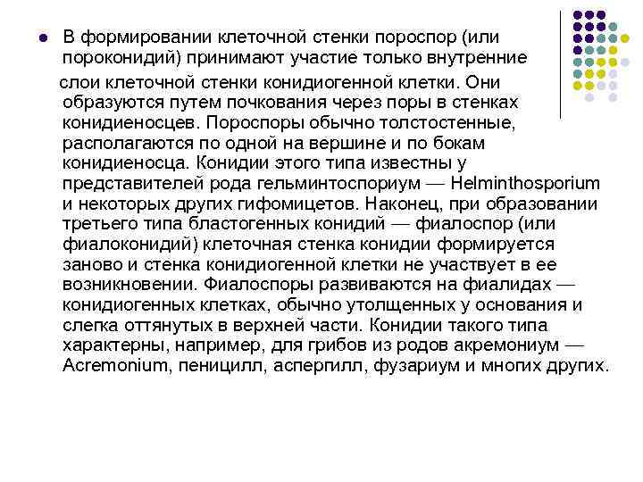 В образовании медиальных стенок орбит принимают участие