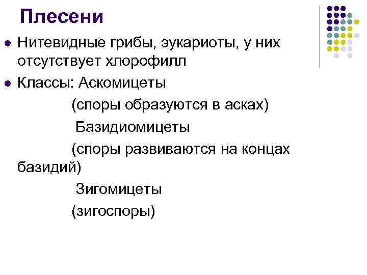 Плесени Нитевидные грибы, эукариоты, у них отсутствует хлорофилл l Классы: Аскомицеты (споры образуются в