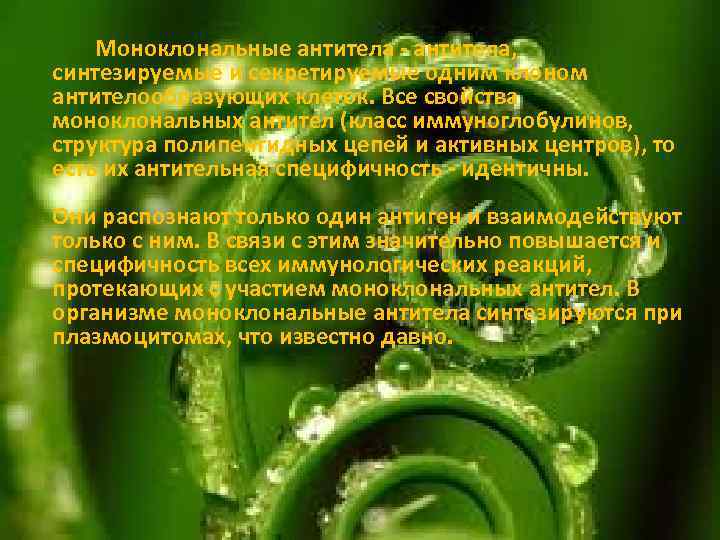 Моноклональные антитела - антитела, синтезируемые и секретируемые одним клоном антителообразующих клеток. Все свойства моноклональных