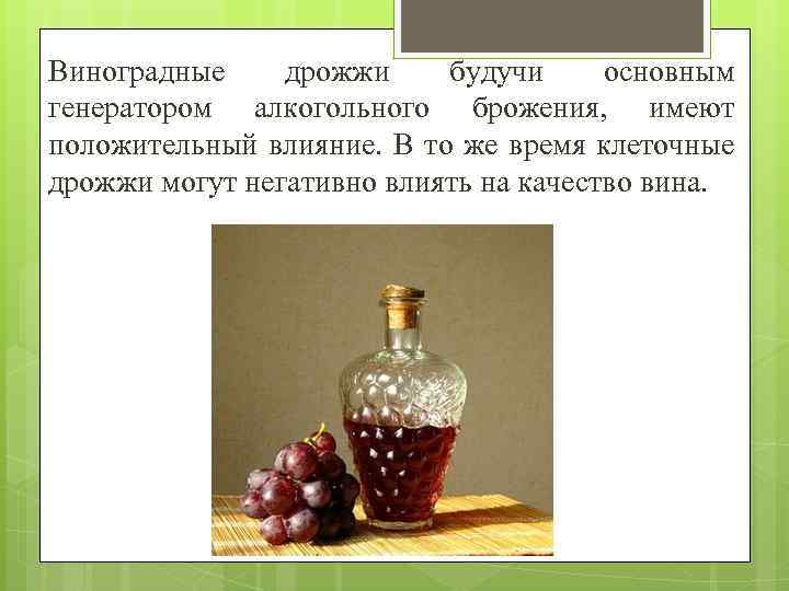 Виноградные дрожжи будучи основным генератором алкогольного брожения, имеют положительный влияние. В то же время