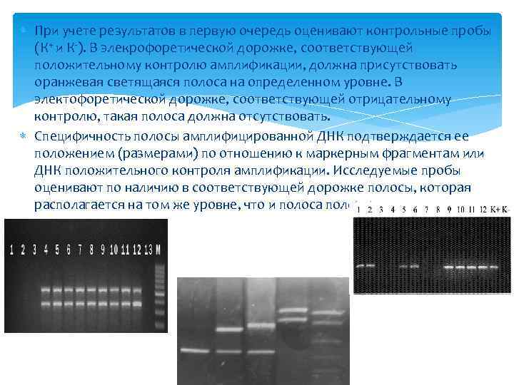  При учете результатов в первую очередь оценивают контрольные пробы (К+ и К-). В