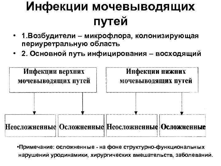 Инфекции мочевыводящих путей • 1. Возбудители – микрофлора, колонизирующая периуретральную область • 2. Основной