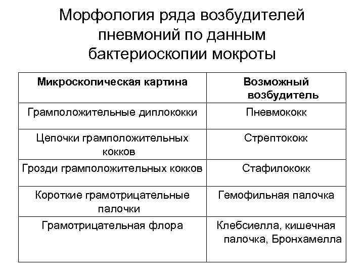 Морфология ряда возбудителей пневмоний по данным бактериоскопии мокроты Микроскопическая картина Возможный возбудитель Грамположительные диплококки