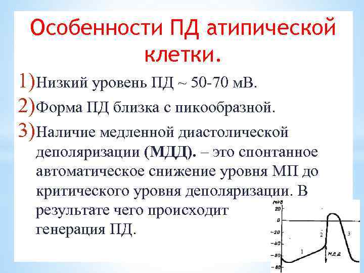 Особенности ПД атипической клетки. 1)Низкий уровень ПД ~ 50 70 м. В. 2)Форма ПД