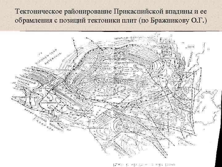 Тектоническое районирование Прикаспийской впадины и ее обрамления с позиций тектоники плит (по Бражникову О.