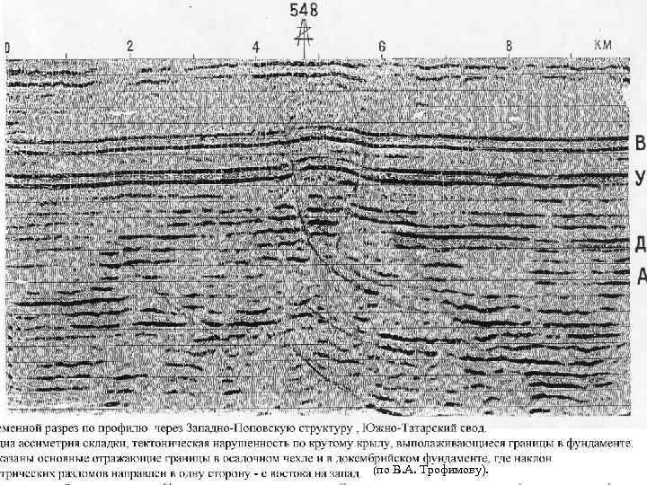 (по В. А. Трофимову). 