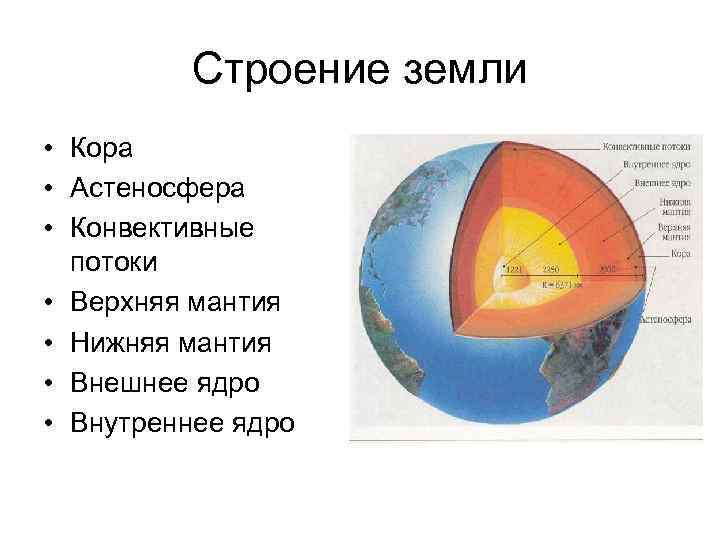 Строение земли • Кора • Астеносфера • Конвективные потоки • Верхняя мантия • Нижняя