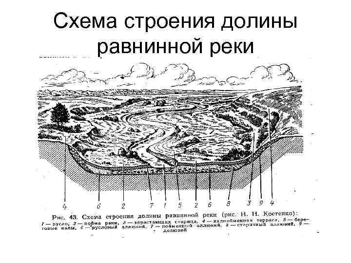 Схема строения долины равнинной реки 