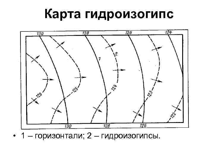 Карта гидроизогипс • 1 – горизонтали; 2 – гидроизогипсы. 