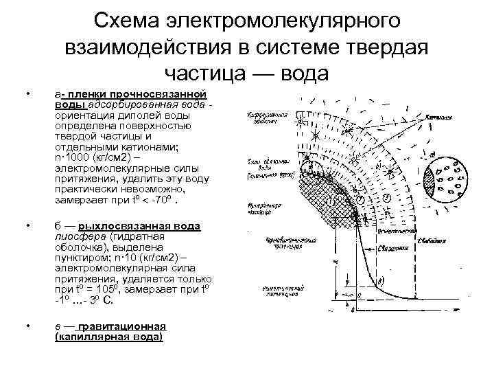 Схема электромолекулярного взаимодействия в системе твердая частица — вода • а- пленки прочносвязанной воды