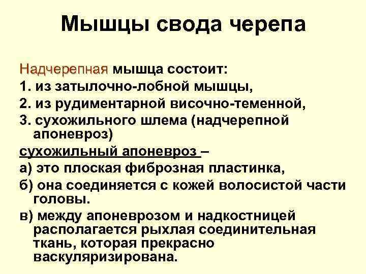 Мышцы свода черепа Надчерепная мышца состоит: 1. из затылочно-лобной мышцы, 2. из рудиментарной височно-теменной,