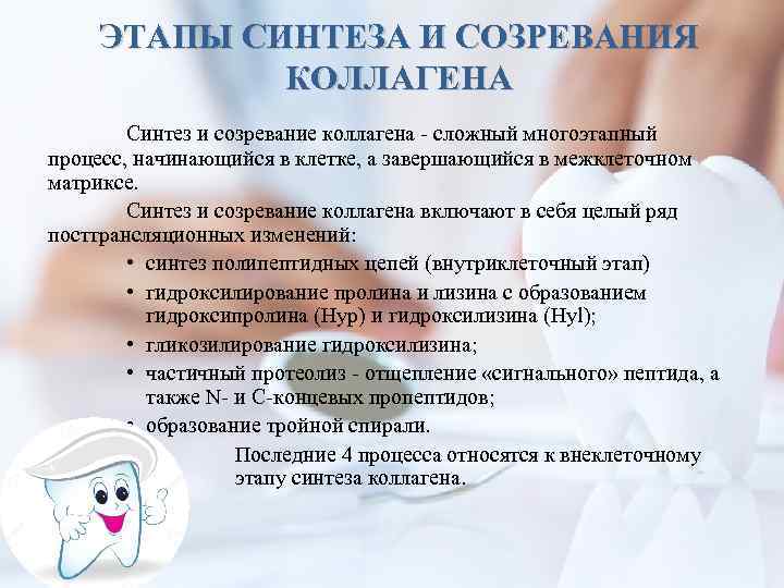 ЭТАПЫ СИНТЕЗА И СОЗРЕВАНИЯ КОЛЛАГЕНА Синтез и созревание коллагена - сложный многоэтапный процесс, начинающийся