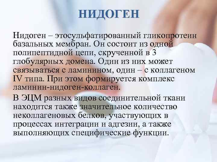 НИДОГЕН Нидоген – этосульфатированный гликопротеин базальных мембран. Он состоит из одной полипептидной цепи, скрученной