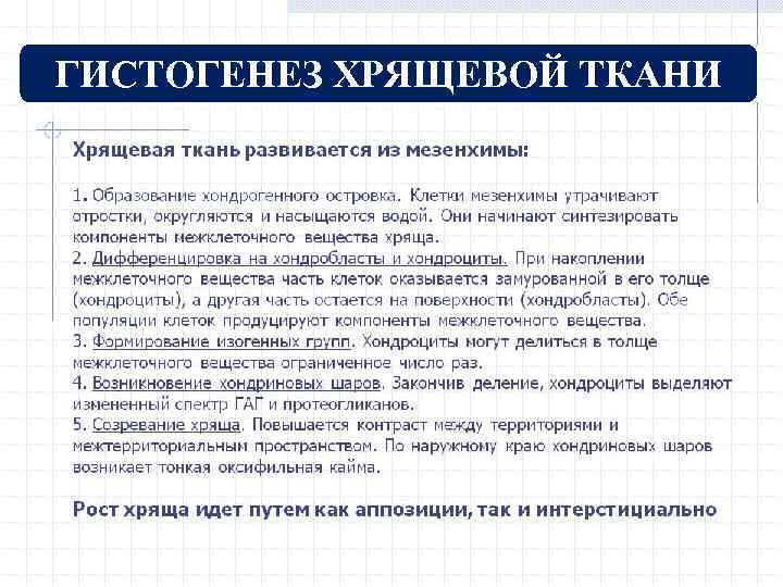 ГИСТОГЕНЕЗ ХРЯЩЕВОЙ ТКАНИ 