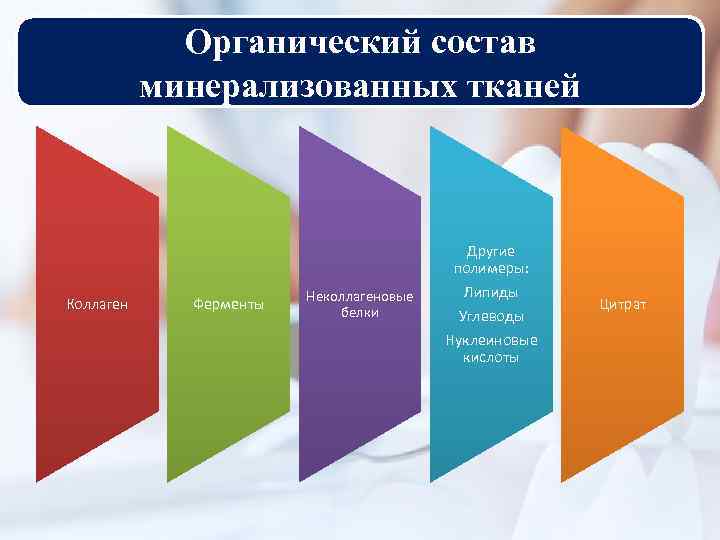 Органический состав минерализованных тканей Коллаген Ферменты Неколлагеновые белки Другие полимеры: Липиды Углеводы Нуклеиновые кислоты