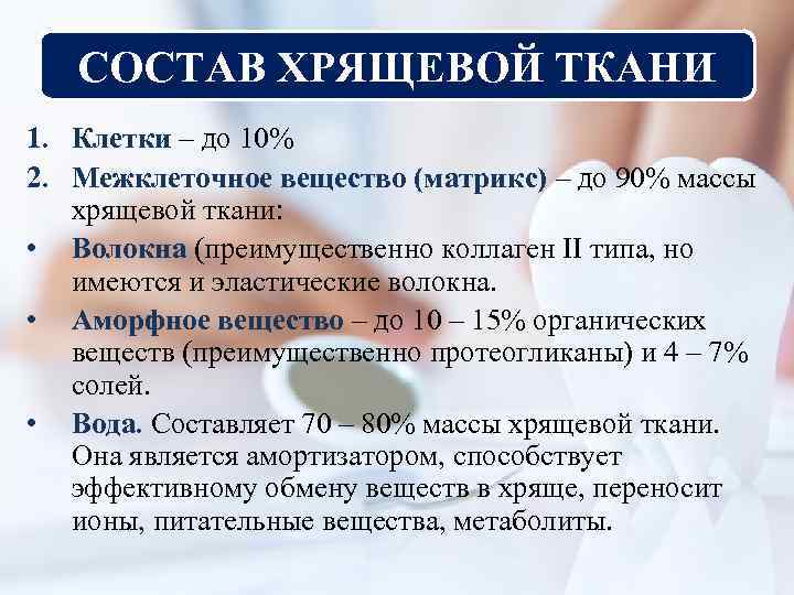 СОСТАВ ХРЯЩЕВОЙ ТКАНИ 1. Клетки – до 10% 2. Межклеточное вещество (матрикс) – до