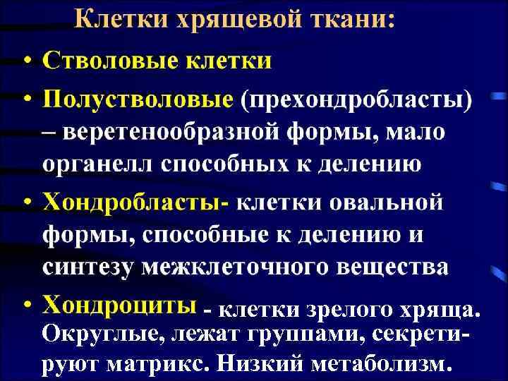 - клетки зрелого хряща. Округлые, лежат группами, секретируют матрикс. Низкий метаболизм. 