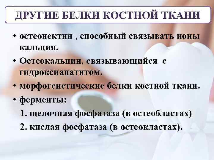 ДРУГИЕ БЕЛКИ КОСТНОЙ ТКАНИ • остеонектин , способный связывать ионы кальция. • Остеокальцин, связывающийся