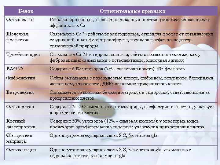 Белок Отличительные признаки Остеонектин Гликозилированный, фосфорилированный протеин; множественная низкая аффинность к Са Щелочная фосфатаза