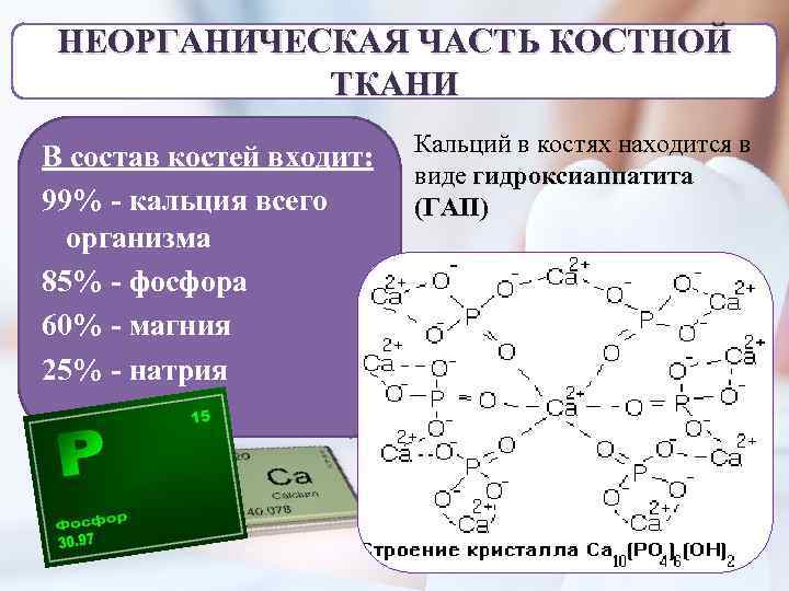 НЕОРГАНИЧЕСКАЯ ЧАСТЬ КОСТНОЙ ТКАНИ В состав костей входит: 99% - кальция всего организма 85%