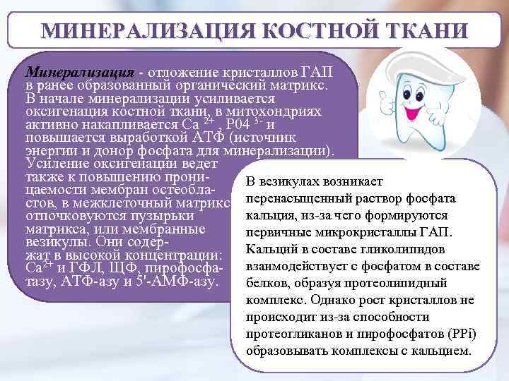 МИНЕРАЛИЗАЦИЯ КОСТНОЙ ТКАНИ Минерализация - отложение кристаллов ГАП в ранее образованный органический матрикс. В