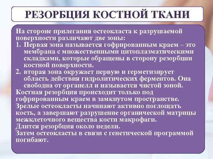 РЕЗОРБЦИЯ КОСТНОЙ ТКАНИ На стороне прилегания остеокласта к разрушаемой поверхности различают две зоны: 1.