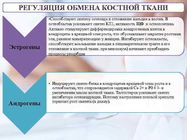 РЕГУЛЯЦИЯ ОБМЕНА КОСТНОЙ ТКАНИ Эстрогены Андрогены • Способствуют синтезу остеоида и отложению кальция в