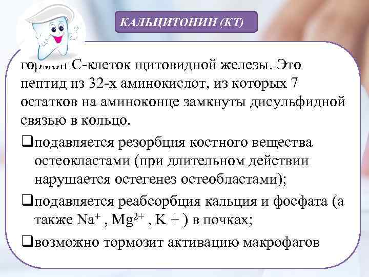 КАЛЬЦИТОНИН (КТ) гормон С-клеток щитовидной железы. Это пептид из 32 -х аминокислот, из которых