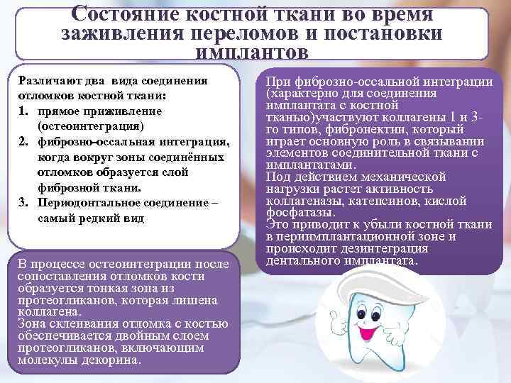 Состояние костной ткани во время заживления переломов и постановки имплантов Различают два вида соединения