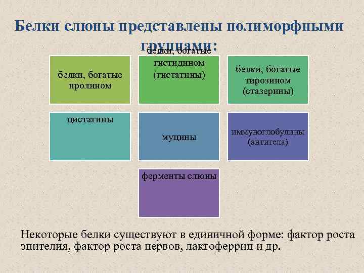 Белки слюны представлены полиморфными группами: белки, богатые пролином гистидином (гистатины) белки, богатые тирозином (стазерины)