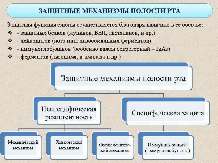 ЗАЩИТНЫЕ МЕХАНИЗМЫ ПОЛОСТИ РТА Защитная функция слюны осуществляется благодаря наличию в ее составе: v