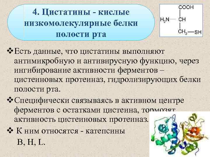 Также есть данные что в. Низкомолекулярные белки. Ферменты гидролизующие белки. Примеры низкомолекулярных белков. Низкомолекулярные белки примеры.