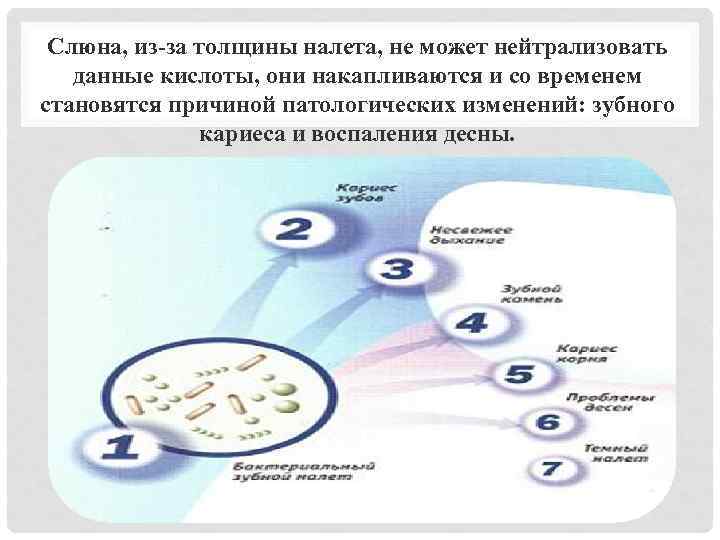 Слюна, из-за толщины налета, не может нейтрализовать данные кислоты, они накапливаются и со временем