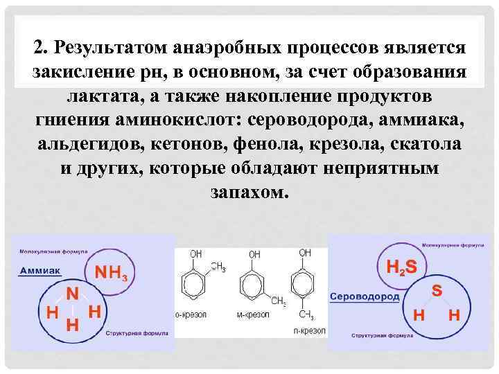 2. Результатом анаэробных процессов является закисление рн, в основном, за счет образования лактата, а