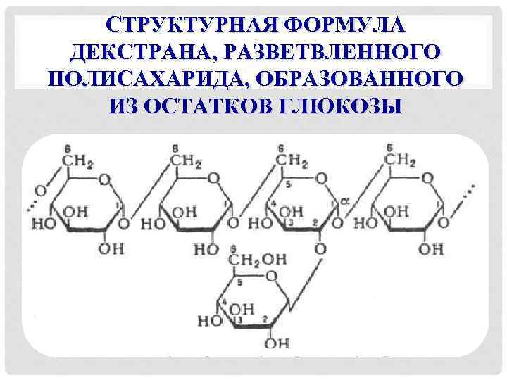 СТРУКТУРНАЯ ФОРМУЛА ДЕКСТРАНА, РАЗВЕТВЛЕННОГО ПОЛИСАХАРИДА, ОБРАЗОВАННОГО ИЗ ОСТАТКОВ ГЛЮКОЗЫ 