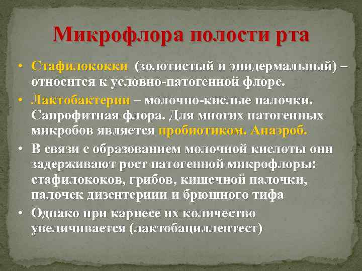 Микрофлора полости рта • Стафилококки (золотистый и эпидермальный) – относится к условно-патогенной флоре. •