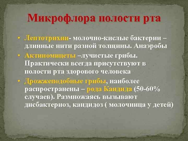 Микрофлора полости рта • Лептотрихии- молочно-кислые бактерии – длинные нити разной толщины. Анаэробы •