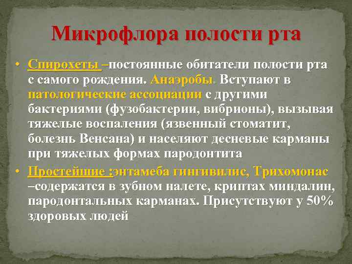 Микрофлора полости рта • Спирохеты –постоянные обитатели полости рта с самого рождения. Анаэробы. Вступают