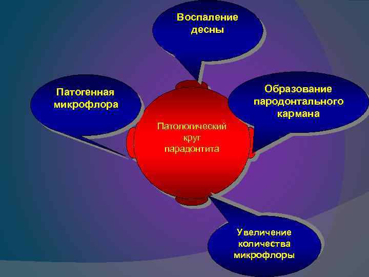 Воспаление десны Образование пародонтального кармана Патогенная микрофлора Патологический круг парадонтита Увеличение количества микрофлоры 