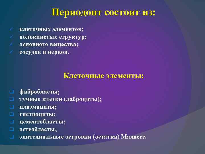 Периодонт состоит из: ü ü клеточных элементов; волокнистых структур; основного вещества; сосудов и нервов.