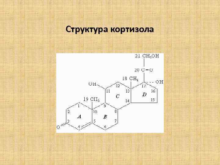 Структура кортизола 