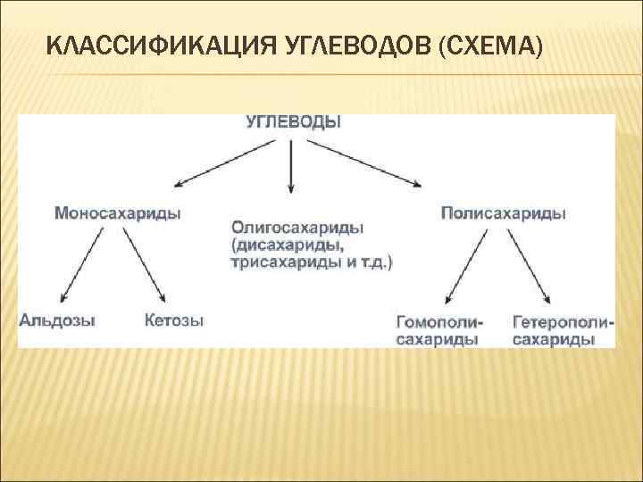 КЛАССИФИКАЦИЯ УГЛЕВОДОВ (СХЕМА) 