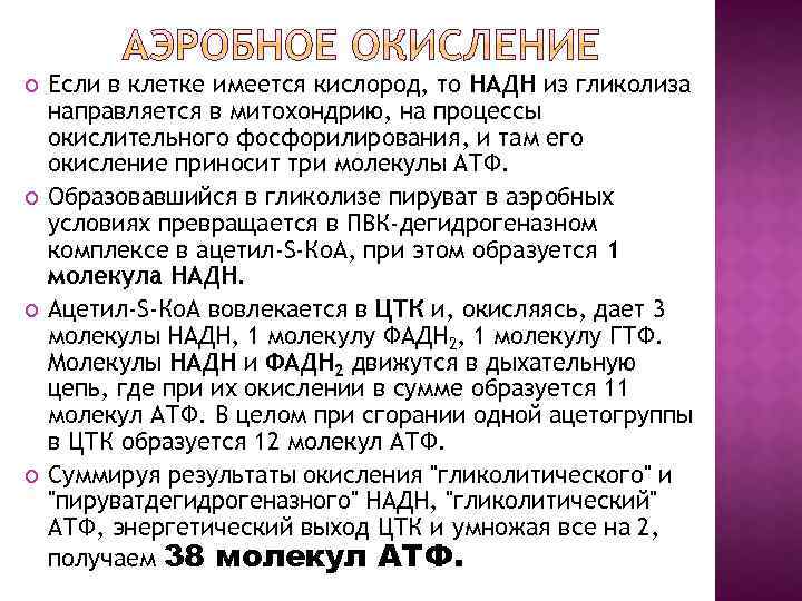 Сколько молекул АТФ образуется при аэробном гликолизе. Количество АТФ при аэробном гликолизе. Сколько АТФ образуется в процессе аэробного гликолиза. Количество молекул АТФ.