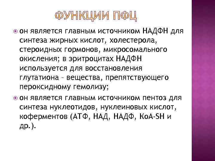  он является главным источником НАДФН для синтеза жирных кислот, холестерола, стероидных гормонов, микросомального