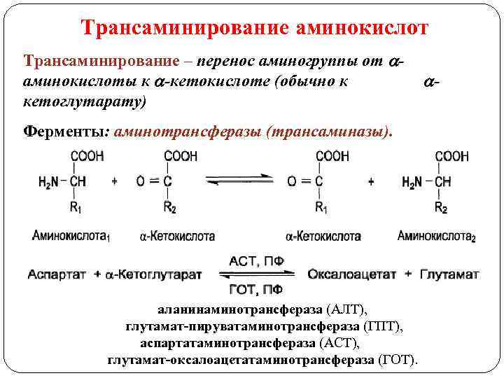 Трансаминирование аминокислот Трансаминирование – перенос аминогруппы от аминокислоты к -кетокислоте (обычно к кетоглутарату) Ферменты:
